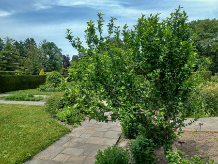 Niagara Falls, On, Canada  - June 4, 2024: Landscape view at the Niagara Parks Botanical Gardens