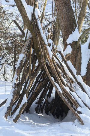 A wooden shelter made of branches stands in a snowy forest with bare trees and bright sunlight.の写真素材