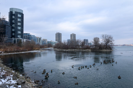 A calm waterfront meets a pebble-covered shoreline with modern high-rise buildings in the background...