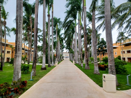 Playa del Carmen, Quintana Roo, Mexico - November 20, 2024: View at the hotel territory in fall seasonの写真素材