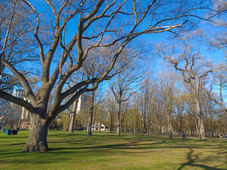 Toronto, ON, Canada â May 2, 2024: People walk and relax in a sunny park surrounded by tall trees with early spring leaves under a clear blue sky.の写真素材