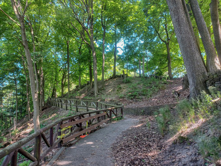 A quiet forest trail with a wooden fence winds through the lush greenery of James Gardens in Toronto.の写真素材