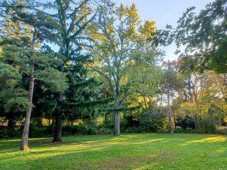 A curved path follows the edge of a green lawn surrounded by vibrant autumn trees in Toronto,...