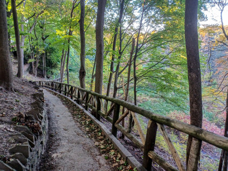 A quiet forest trail with a wooden fence winds through the lush greenery of James Gardens in...