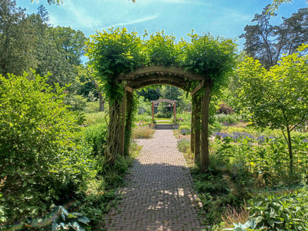 A path leads through wooden arches covered in green vines, surrounded by blooming summer plants in a peaceful Toronto garden.の写真素材