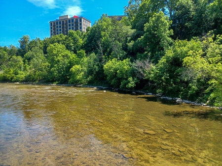 Toronto, ON, Canada â June 14, 2024: View of the Humber River under a clear blue summer sky.の写真素材