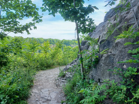 View at the forest part of Niagara Glen trail near the Niagara Fallsの写真素材
