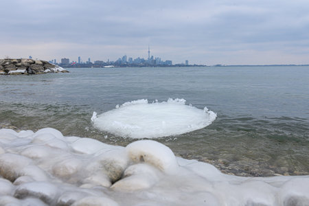 A circular ice disc floats near the rocky shoreline of a calm lake, with the Toronto skyline visible...