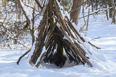 A wooden shelter made of branches stands in a snowy forest with bare trees and bright sunlight.の写真素材