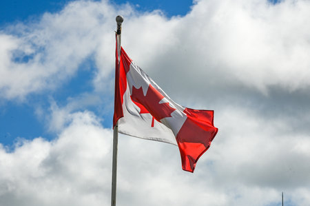 The red and white national flag of Canada with a maple leaf waves in the wind against a cloudy sky.の写真素材