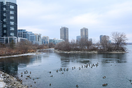 A calm waterfront meets a pebble-covered shoreline with modern high-rise buildings in the background under a cloudy winter sky.の写真素材