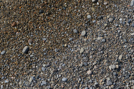 A close-up view shows the natural texture of wet sand and pebbles on a beach.の写真素材
