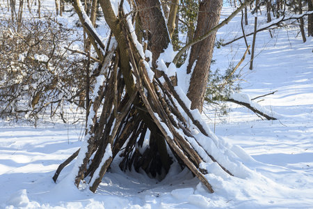 A wooden shelter made of branches stands in a snowy forest with bare trees and bright sunlight.の写真素材