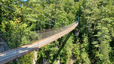 Scenic suspension bridge stretches across a vibrant green forest gorge on a bright, sunny day.