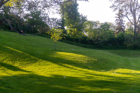 Toronto, ON, Canada -  September 3, 2025: a couple sits on a green grassy hill under warm sunlight, surrounded by trees and shadows in a peaceful park setting.のeditorial素材