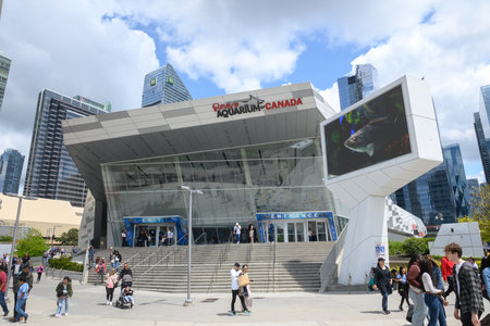 Toronto, ON, Canada â July 6, 2024:  Toronto Ripley's public aquarium sign above the entrance in Downtown Torontoのeditorial素材
