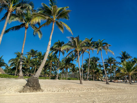 Quintana Roo, Mexico - November 20, 2024: View at the beach in Playa del Car district in Playa del Carmen, Mexicoのeditorial素材