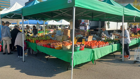 Toronto, ON, Canada - October 16, 2025: People shop for fresh produce under green tents at a busy outdoor farmers market.のeditorial素材