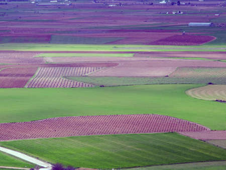 fields plantedの写真素材