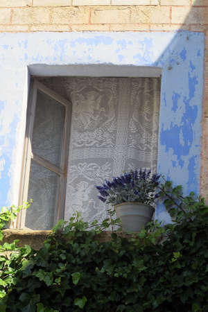 windowの写真素材