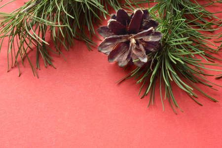 Beautiful pine cone and pine branches on a red background. New Year and Christmas decorations. Spruce or pine cone close-up. The object is on top. The concept of holidays. Flatlay. Copy space for textの写真素材