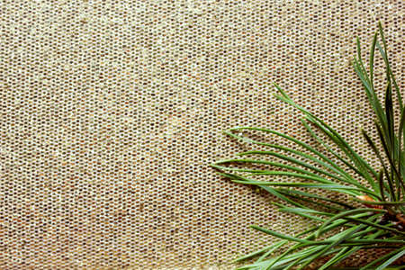 Beautiful pine branch on a silver shiny background. New Year and Christmas decorations. Close-up....