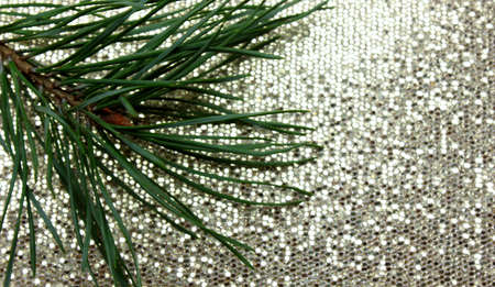 Beautiful pine branch on a silver shiny background. New Year and Christmas decorations. Close-up....