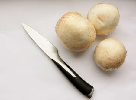 Mushrooms. View from above. Three mushrooms and a knife white background. Delicious and healthy...