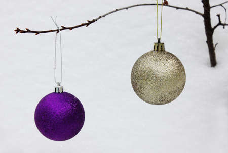 Christmas tree toys silver and purple ball on white background. Christmas and New Year. Toys on the Christmas tree. Childhood. Copy space. New Year is decoration, symbol, gift. Ball hanging on branchの写真素材