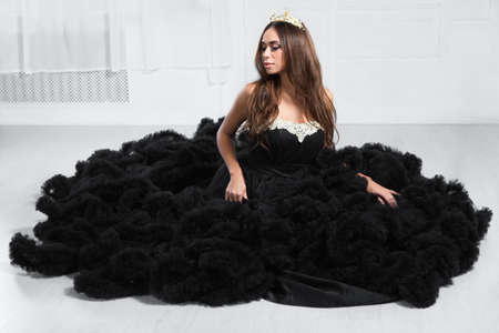 Attractive young woman poses in a studio dressed in a black puffy evening dress and crownの写真素材