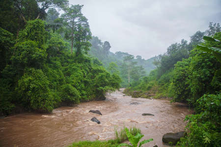 Muddy waters of a Tukad Petanu river during the rainy season, Bali Island, Indonesiaの写真素材