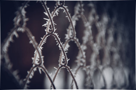 Winter fence after rainの写真素材