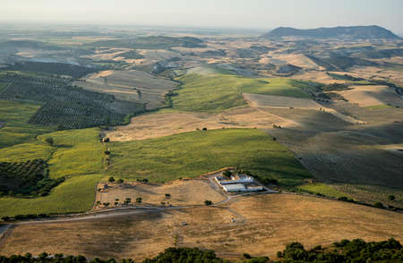 Campia views of the south of Sevilleの写真素材
