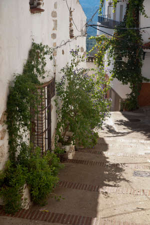 Algatocn, streets with houses