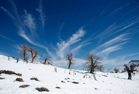 arrival of the winter station of the Sierra de las Nieves, Mlagaの写真素材