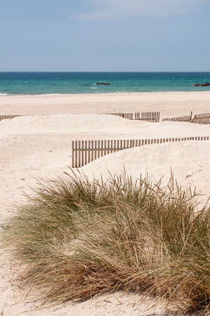 Sand Dunes in Bologna beaches on the coast of Tarifa, Cadizの写真素材