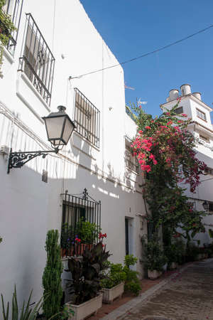 Marbella town streets adorned with plants and flowersの写真素材