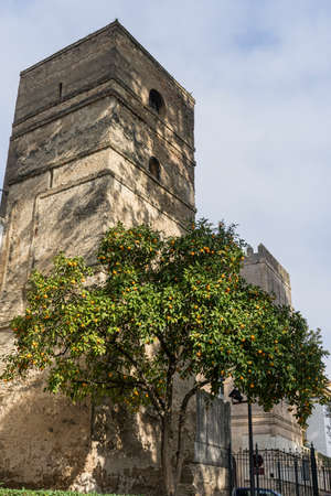 strolling through the ancient streets of Seville and today juderÃa neighborhood called Santacruzの写真素材