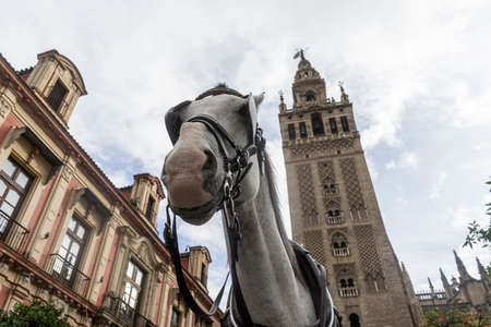 Monumental towns of Spain, Sevilleの写真素材