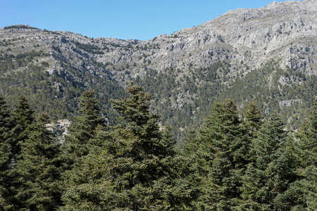 Natural parks in Spain, Sierra de las Nieves in the province of Malaga, Andaluciaの写真素材