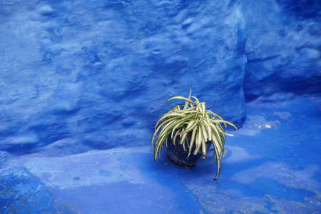 views of the streets of the medina of Chefchaouen in Moroccoの写真素材