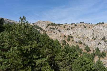 Natural Park Sierras de Tejeda, Almijara and Alhama, Andalusiaの写真素材
