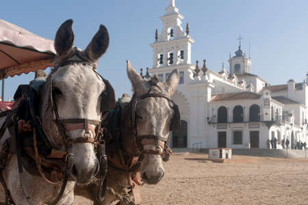 Hermitage of El Rocio in the province of Huelvaの写真素材