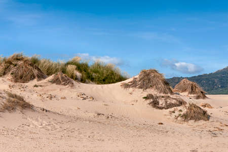Valdevaqueros sand dune on the East Coast of Tarifa, Andaluciaの写真素材