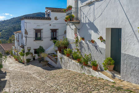 Street in the rural municipality of Jimena de la Frontera, Cadizの写真素材