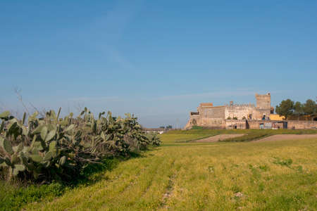 The Castle of Marchenilla in Alcala de Guadaira, Sevilleのeditorial素材