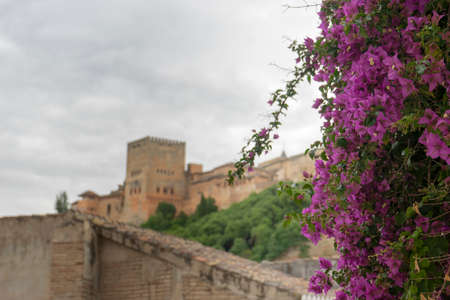 Alhambra of Granada, Spainの写真素材