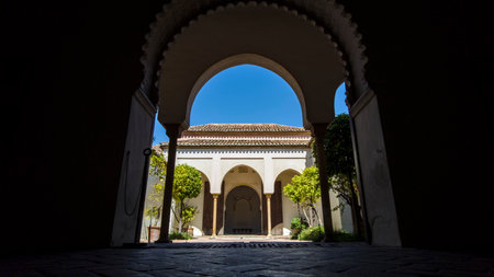 gardens of the old Nasrid citadel of Malaga, Andalusiaのeditorial素材