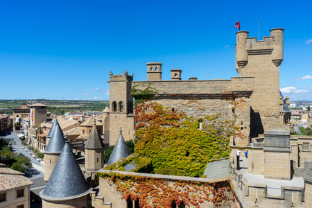 The Beautiful Royal Palace of Olite in Navarre, Spainの写真素材