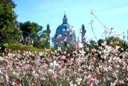 Flowers with classical dome in the background の写真素材